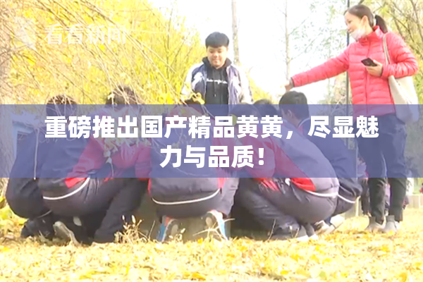 重磅推出国产精品黄黄，尽显魅力与品质！