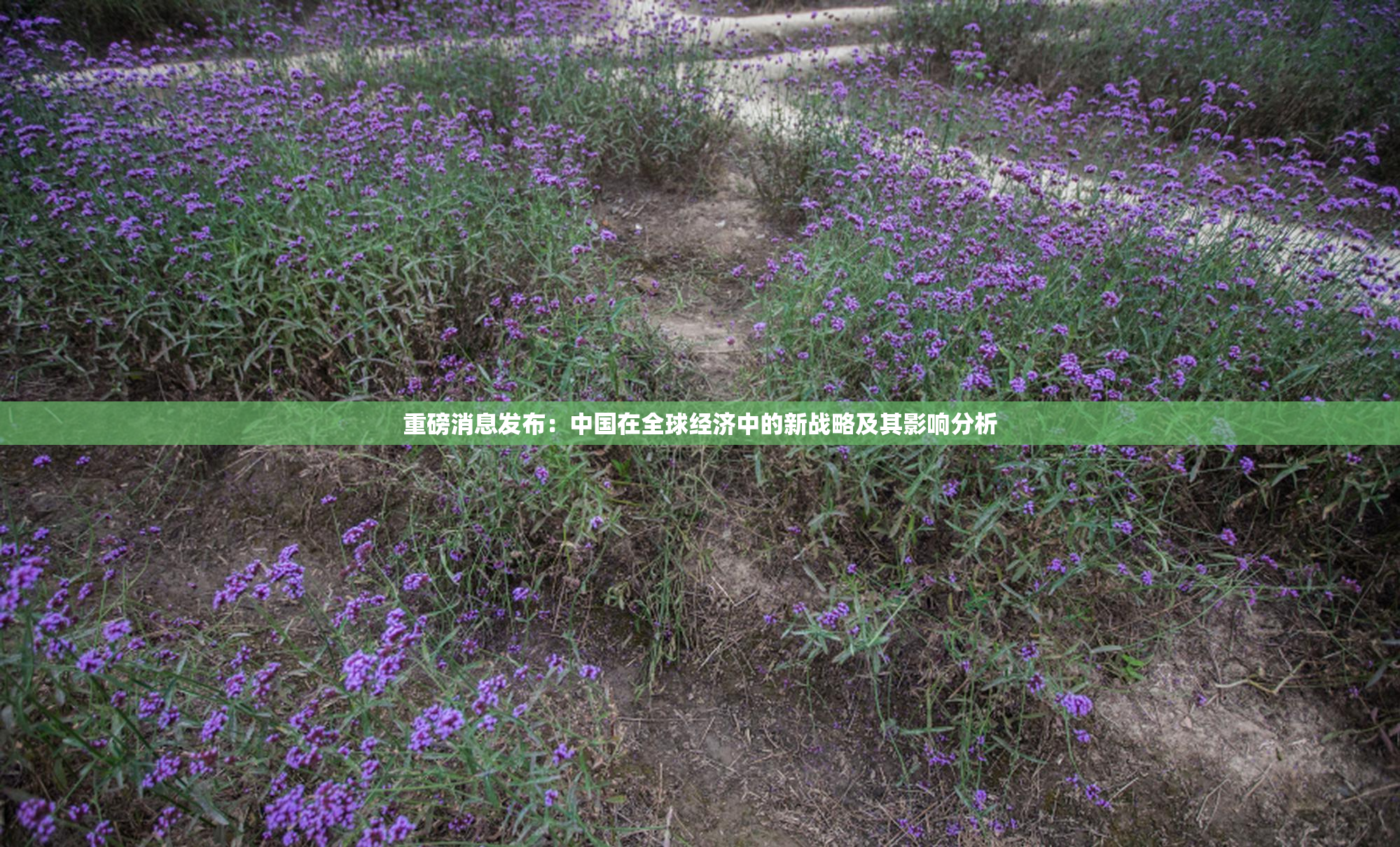 重磅消息发布：中国在全球经济中的新战略及其影响分析