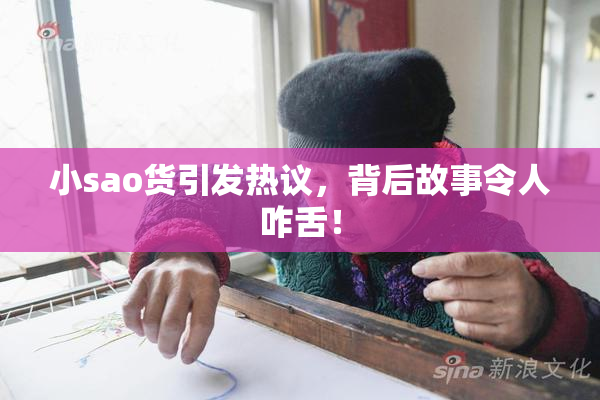 小sao货引发热议，背后故事令人咋舌！