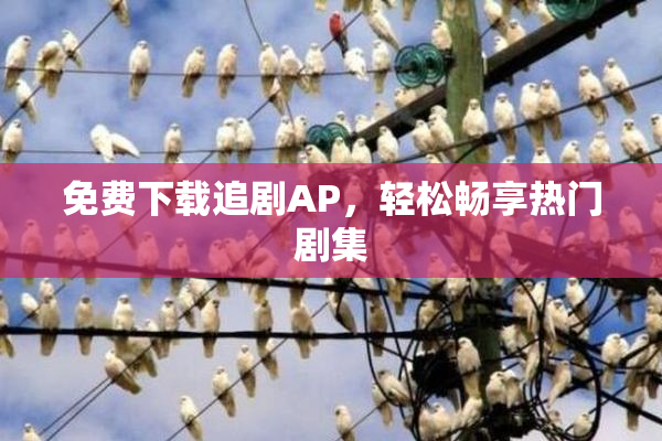 免费下载追剧AP，轻松畅享热门剧集