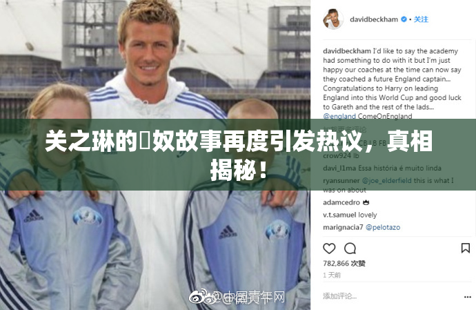 关之琳的婬奴故事再度引发热议，真相揭秘！