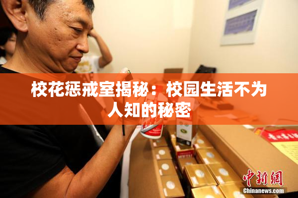 校花惩戒室揭秘：校园生活不为人知的秘密