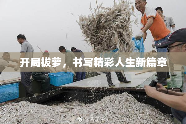 开局拔萝，书写精彩人生新篇章