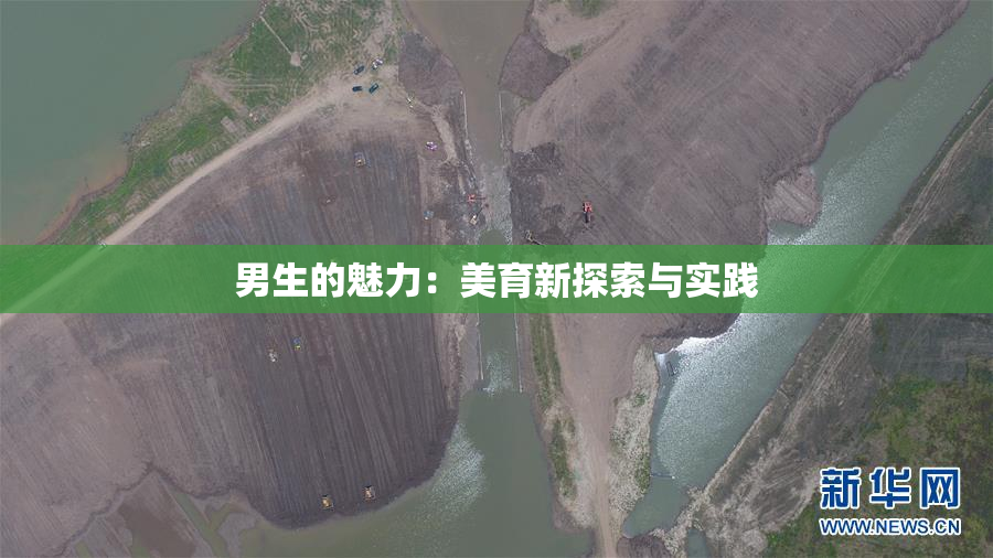 男生的魅力：美育新探索与实践