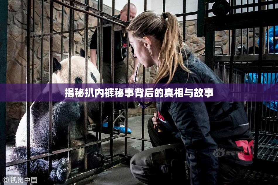 揭秘扒内裤秘事背后的真相与故事