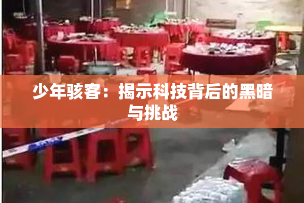 少年骇客：揭示科技背后的黑暗与挑战