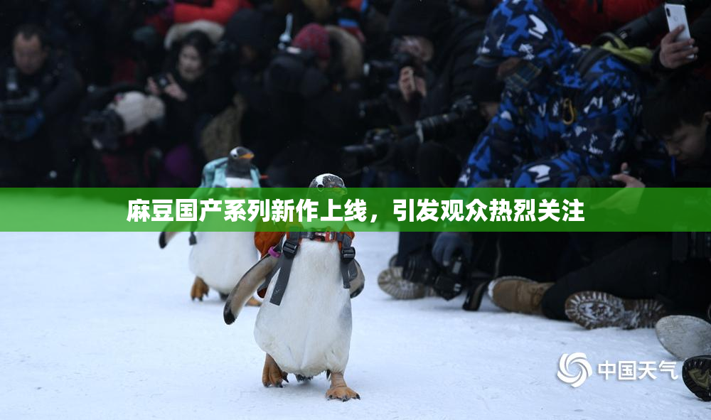 麻豆国产系列新作上线，引发观众热烈关注