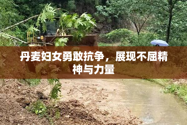 丹麦妇女勇敢抗争，展现不屈精神与力量