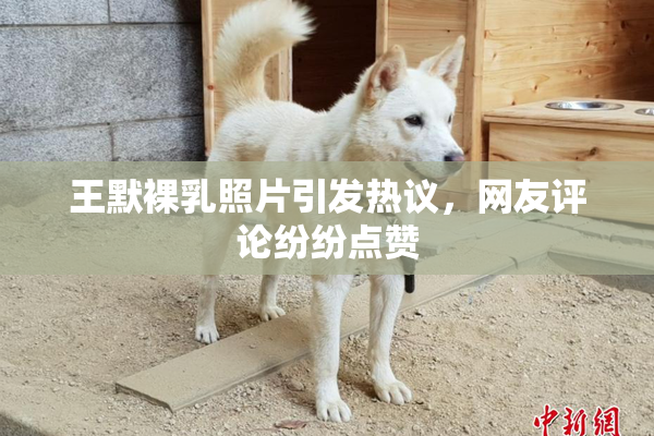 王默裸乳照片引发热议，网友评论纷纷点赞