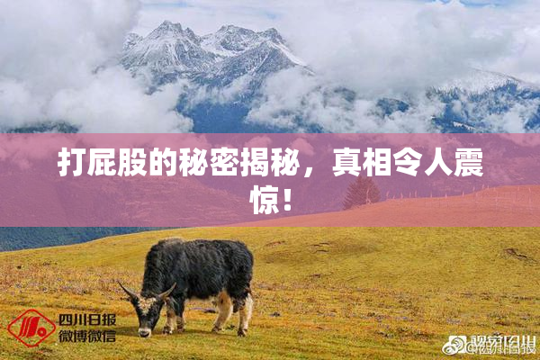 打屁股的秘密揭秘，真相令人震惊！
