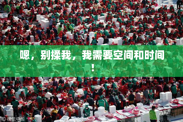 嗯，别揉我，我需要空间和时间！