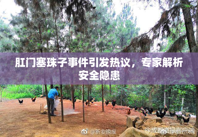 肛门塞珠子事件引发热议，专家解析安全隐患