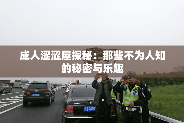 成人涩涩屋探秘：那些不为人知的秘密与乐趣