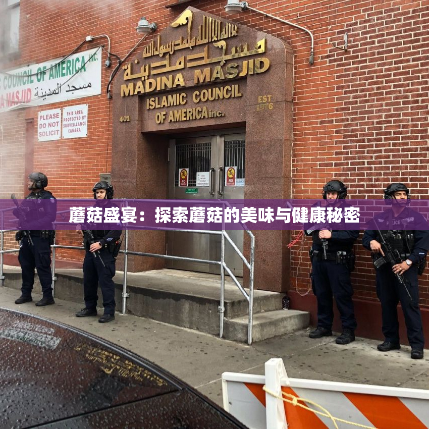 蘑菇盛宴：探索蘑菇的美味与健康秘密