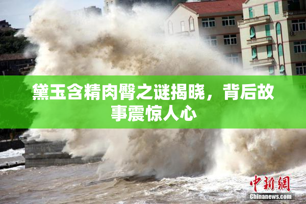 黛玉含精肉臀之谜揭晓，背后故事震惊人心