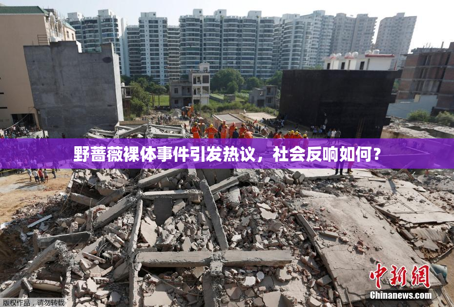野蔷薇裸体事件引发热议，社会反响如何？