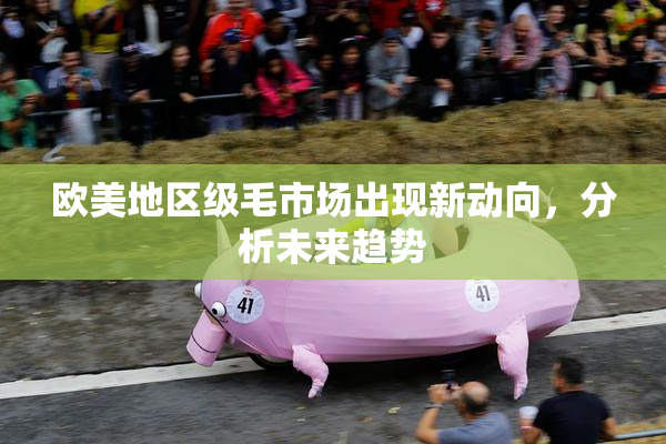 欧美地区级毛市场出现新动向，分析未来趋势