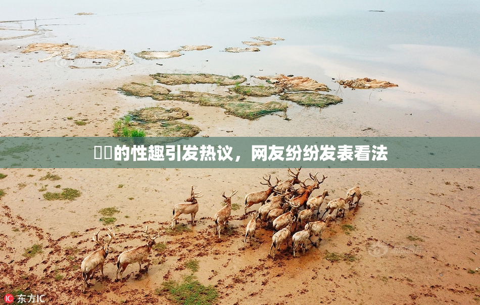 妺妺的性趣引发热议，网友纷纷发表看法