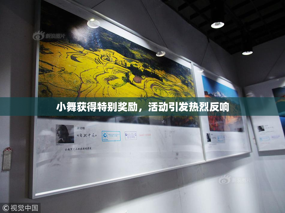 小舞获得特别奖励，活动引发热烈反响