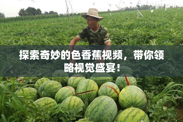 探索奇妙的色香蕉视频，带你领略视觉盛宴！