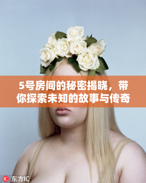 5号房间的秘密揭晓，带你探索未知的故事与传奇