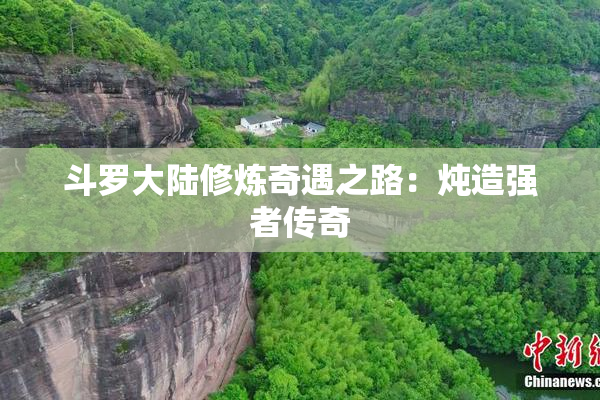斗罗大陆修炼奇遇之路：炖造强者传奇