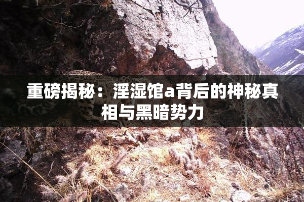 重磅揭秘：淫湿馆a背后的神秘真相与黑暗势力