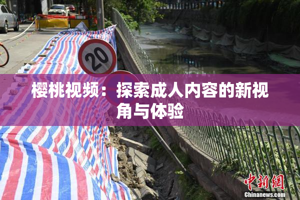 樱桃视频：探索成人内容的新视角与体验