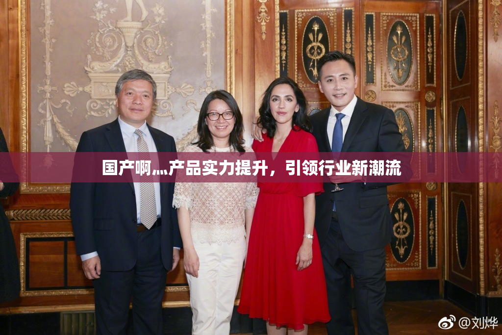 国产啊灬产品实力提升，引领行业新潮流