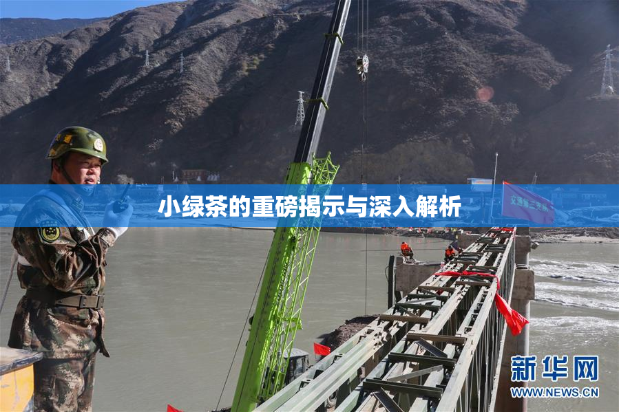 小绿茶的重磅揭示与深入解析