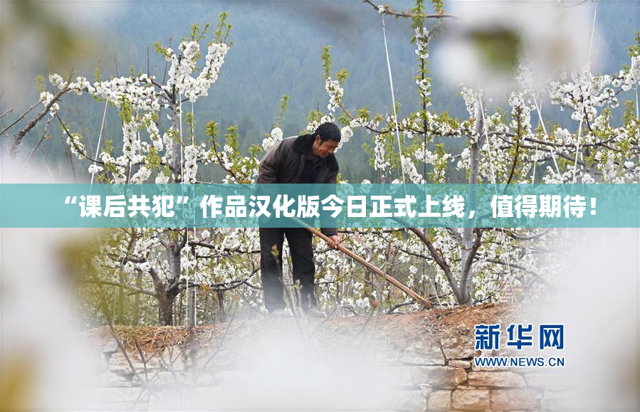 “课后共犯”作品汉化版今日正式上线，值得期待！