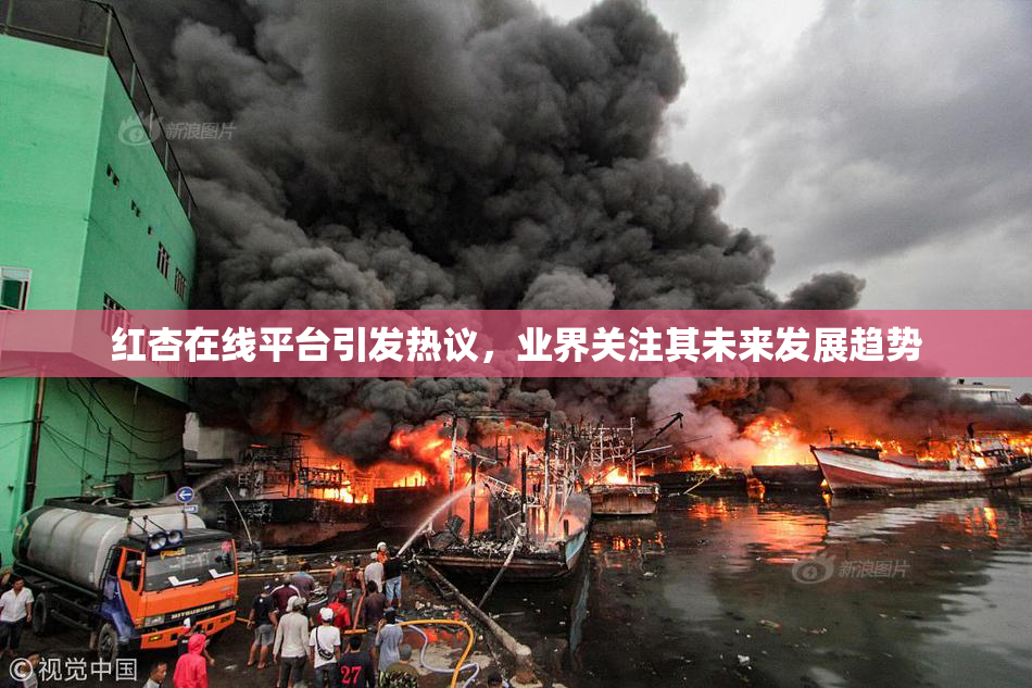 红杏在线平台引发热议，业界关注其未来发展趋势