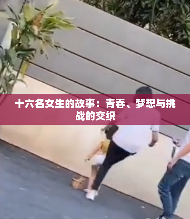 十六名女生的故事：青春、梦想与挑战的交织