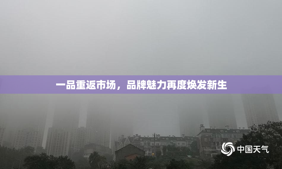 一品重返市场，品牌魅力再度焕发新生