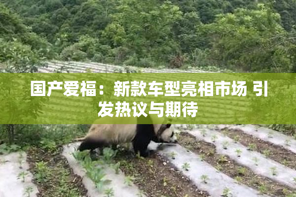 国产爱福：新款车型亮相市场 引发热议与期待