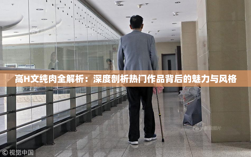高H文纯肉全解析：深度剖析热门作品背后的魅力与风格