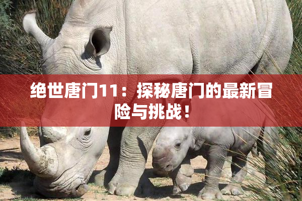 绝世唐门11：探秘唐门的最新冒险与挑战！