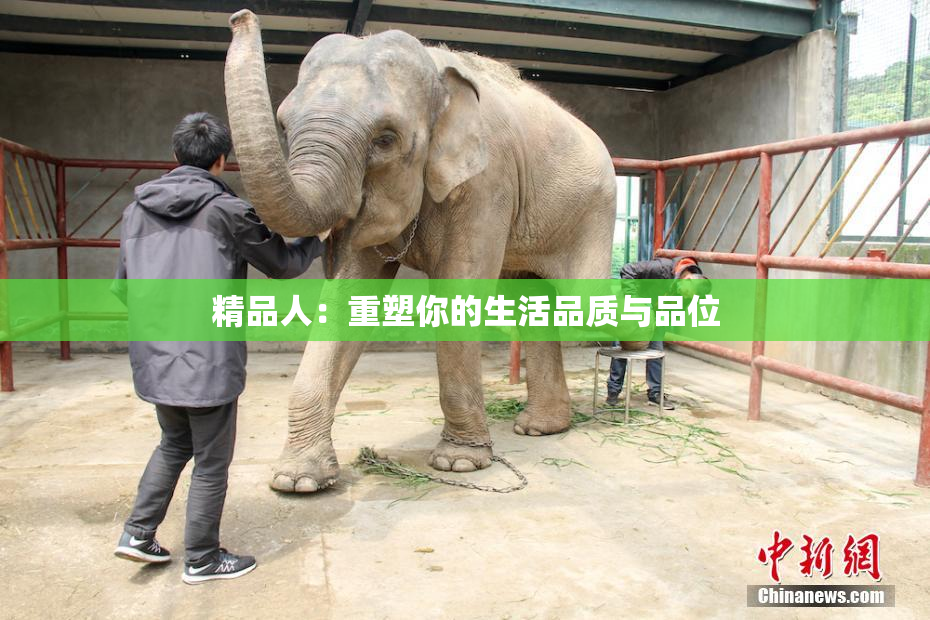 精品人：重塑你的生活品质与品位