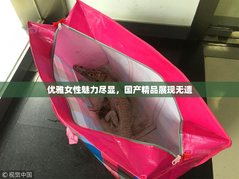 优雅女性魅力尽显，国产精品展现无遗
