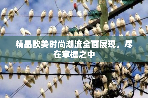 精品欧美时尚潮流全面展现，尽在掌握之中