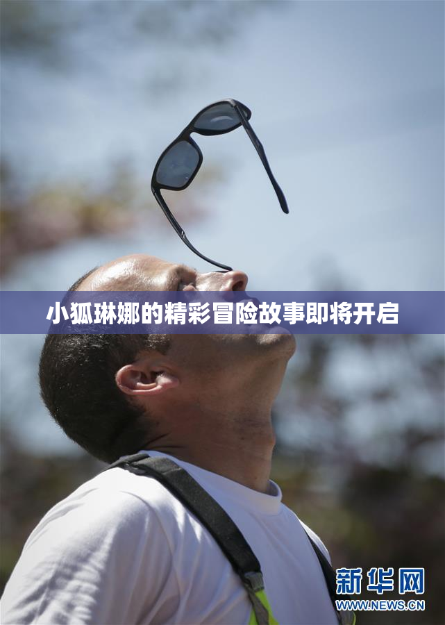 小狐琳娜的精彩冒险故事即将开启