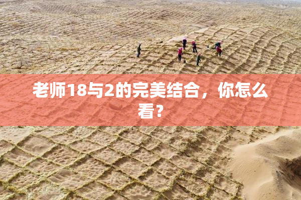 老师18与2的完美结合，你怎么看？