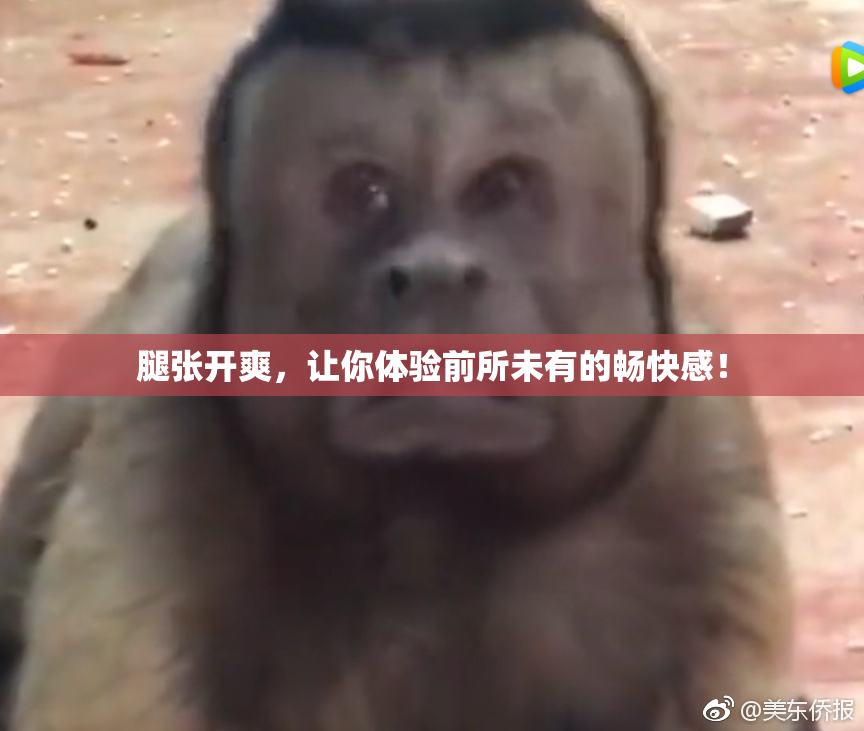 腿张开爽，让你体验前所未有的畅快感！