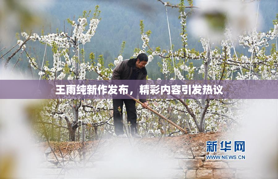 王雨纯新作发布，精彩内容引发热议