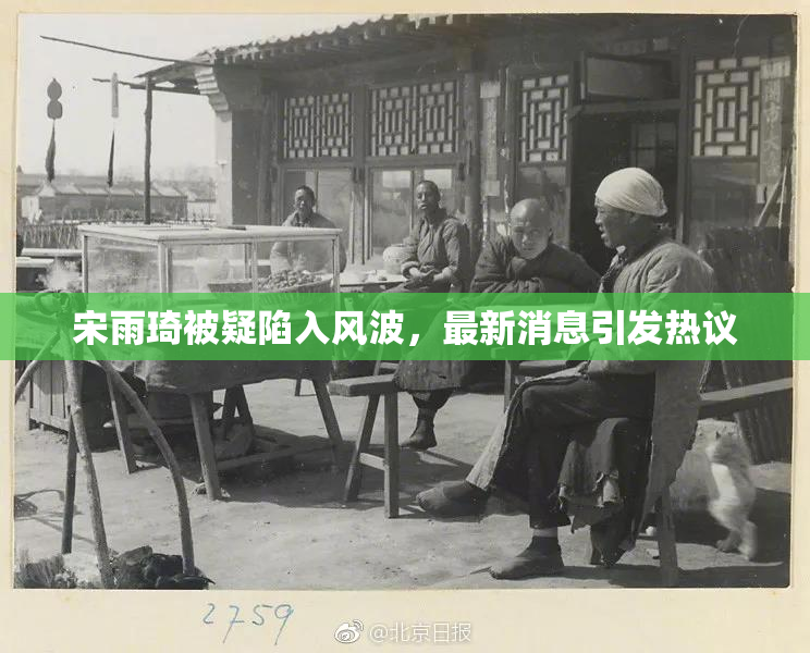 宋雨琦被疑陷入风波，最新消息引发热议