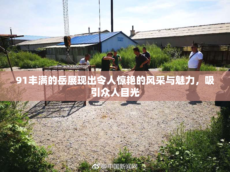 91丰满的岳展现出令人惊艳的风采与魅力，吸引众人目光