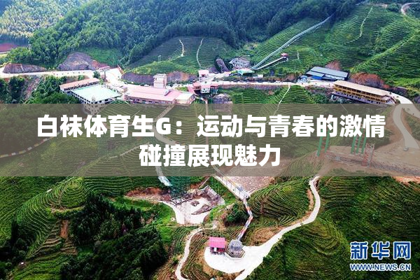 白袜体育生G：运动与青春的激情碰撞展现魅力