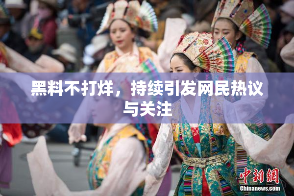 黑料不打烊，持续引发网民热议与关注