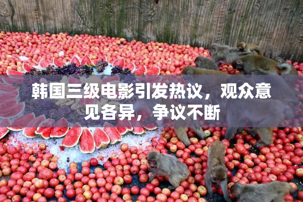韩国三级电影引发热议，观众意见各异，争议不断