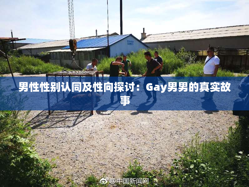 男性性别认同及性向探讨：Gay男男的真实故事